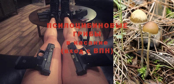 винт Абаза