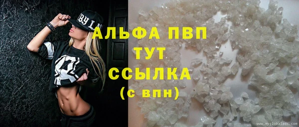прущие крисы Алзамай