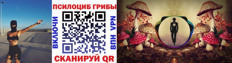 Галлюциногенные грибы Psilocybe  продажа наркотиков  дарк нет состав  Куровское 